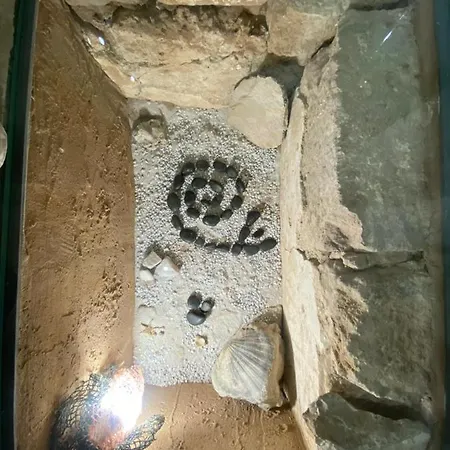 公寓 Lu Batil *
